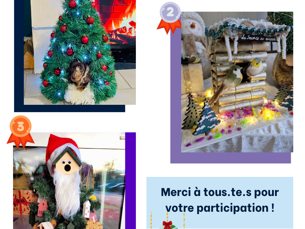Résultat de notre défi de Noël : Nid douillet et décoration pour nos amis à plumes et à poils !