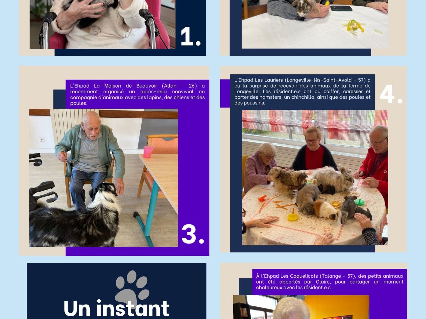 Un instant partagé en médiation animale !