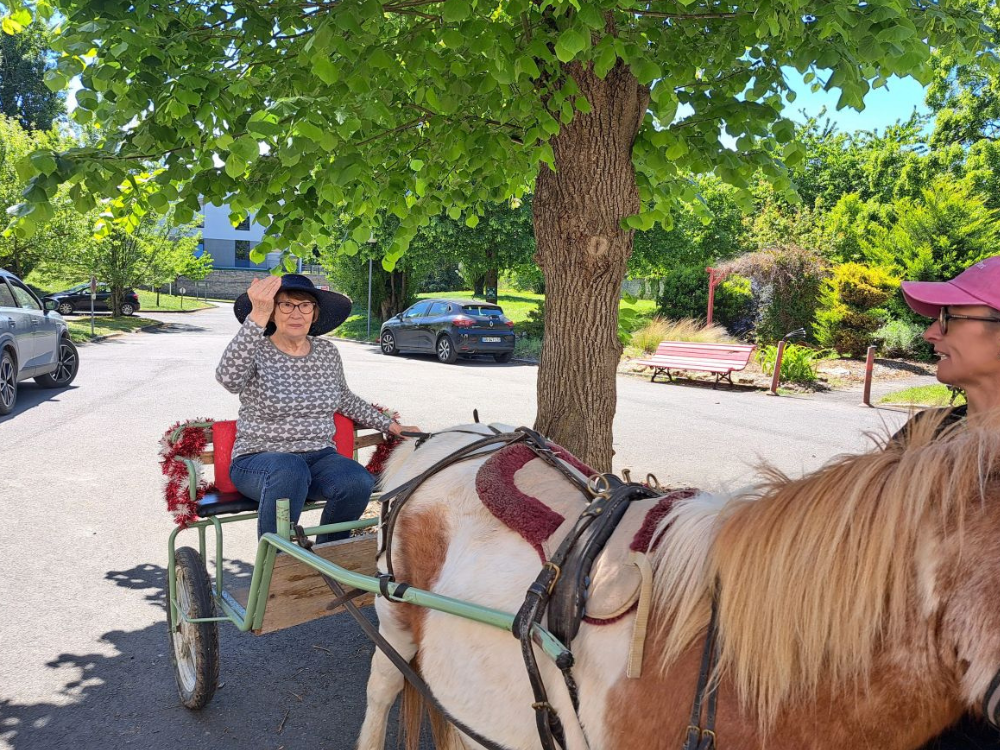 Cap sur le bien-être avec l’équithérapie🐎