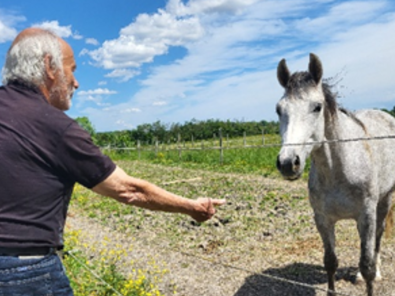 L’animal, un lien qui apaise🐎