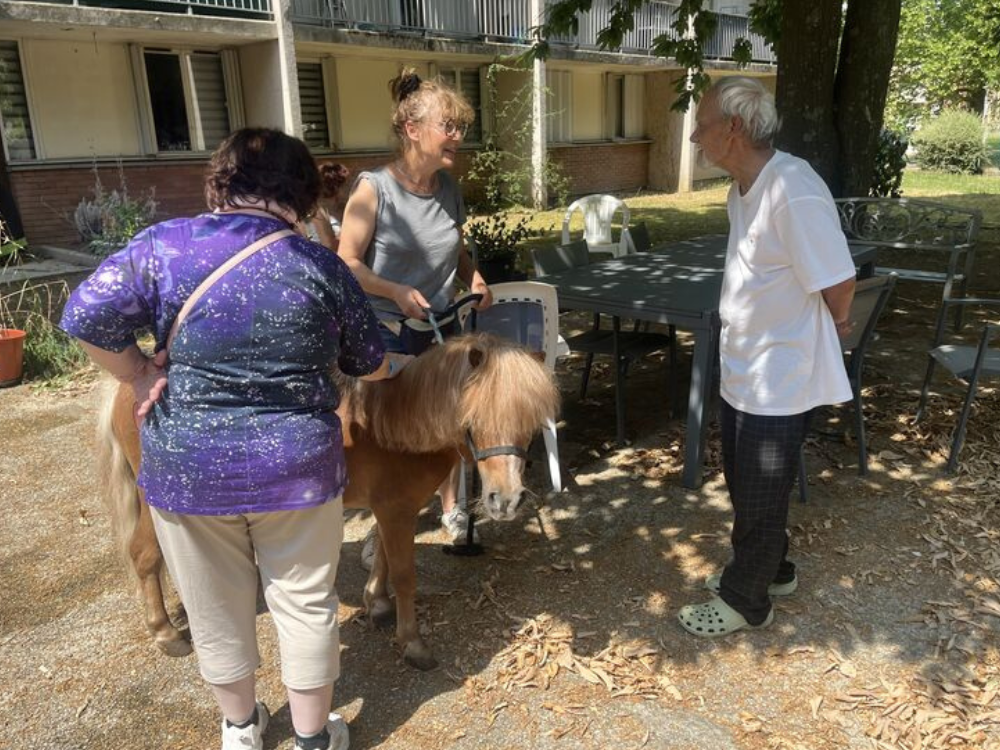 Quand les poneys s'invitent à la résidence Les Cèdres🐎
