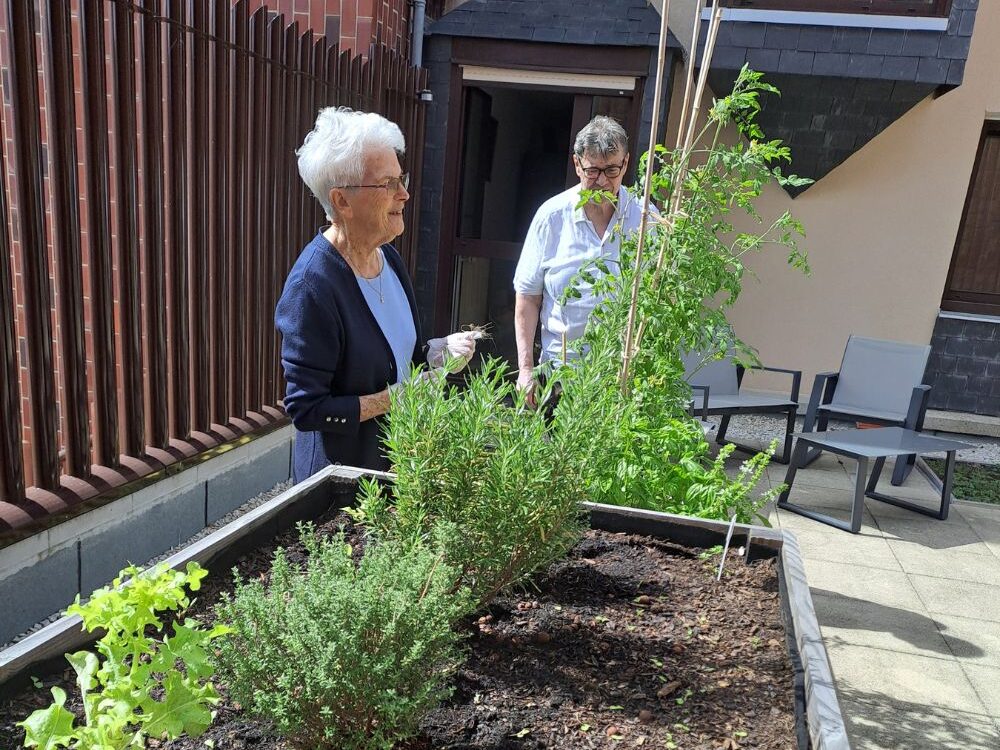 Au potager, ça pousse à la résidence Madeleine Wagner👩🌾