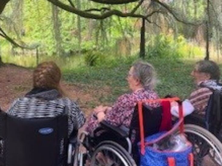 Une parenthèse au vert à la Vallée aux Loups 🐺